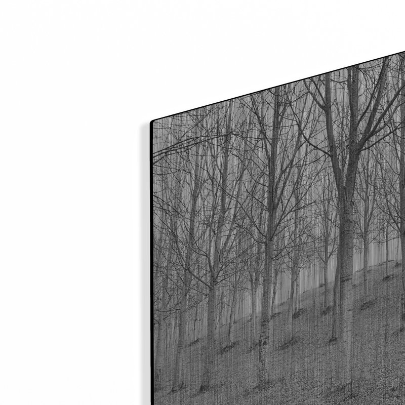 «Nature Reorganized» par IMB, H 16 po x l 24 po