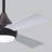 Donaire 52'' Ceiling Fan with LED Lights-297934727-315694813
