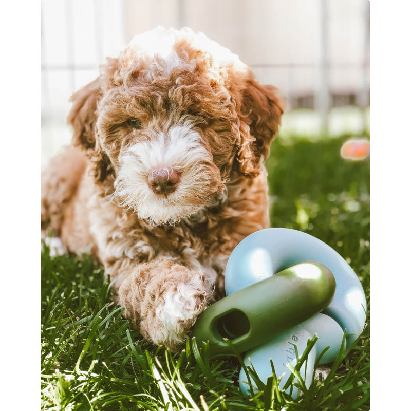 Falcon Hybrid Feeder/Toy, Glow