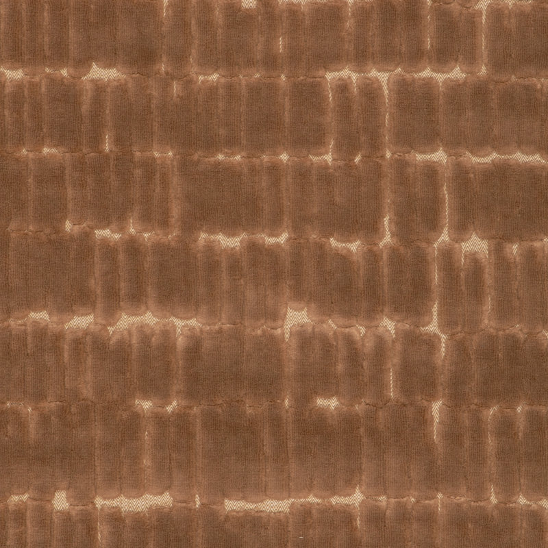 Meerkat, Camel