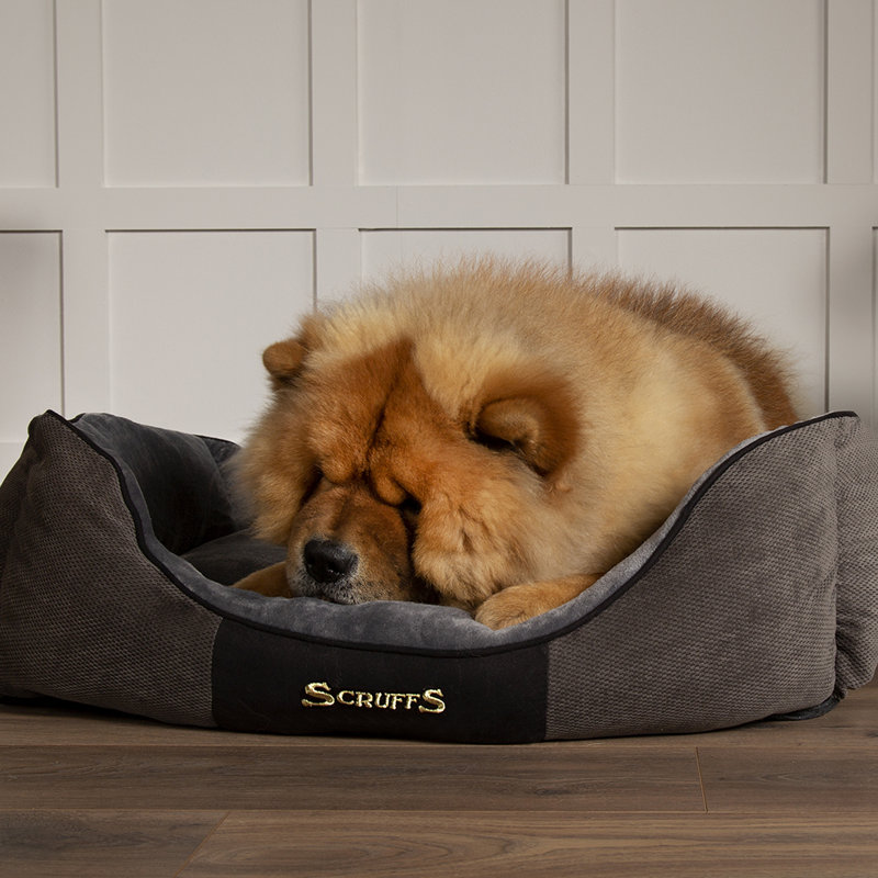 Chester Pet Bed, 19cm H x 75cm W x 60cm D, Graphite/Grey