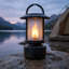 Renard flamme-120295459