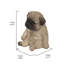 Statue chiot endormi