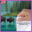 Housse de couette Bison Bedding Animals Rustic-122471842