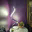 Customer photo 3 of 3