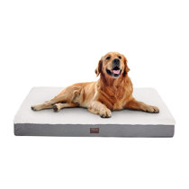 Wayfair  Chew Resistant Dog Beds