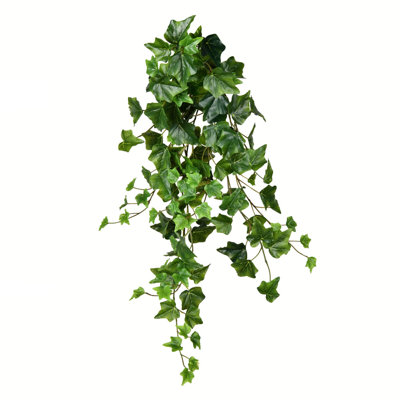 Ivy Arrangement