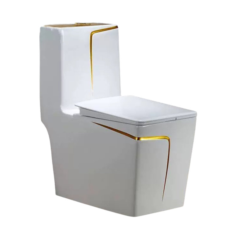 Toilette monobloc allongée à double chasse anti-odeurs et silencieuse (siège inclus)