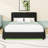 Upholstered Bed with RGB LED and Built-in Bluetooth Speakers-794164975-794164968