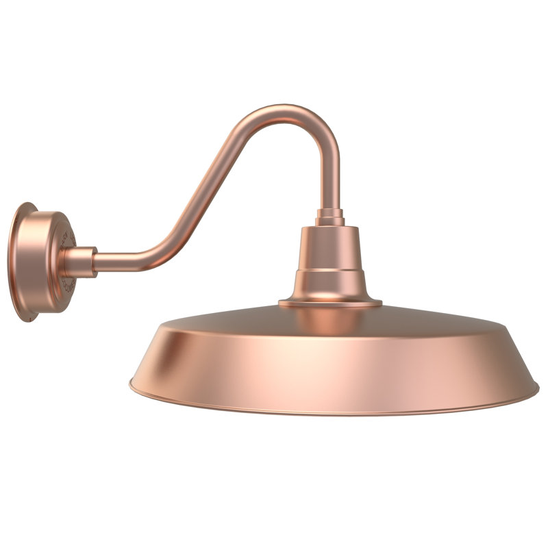Luminaire de grange d'extérieur à DEL Haleigh, H 15 po x l 22 po x p 27 po, Noir mat