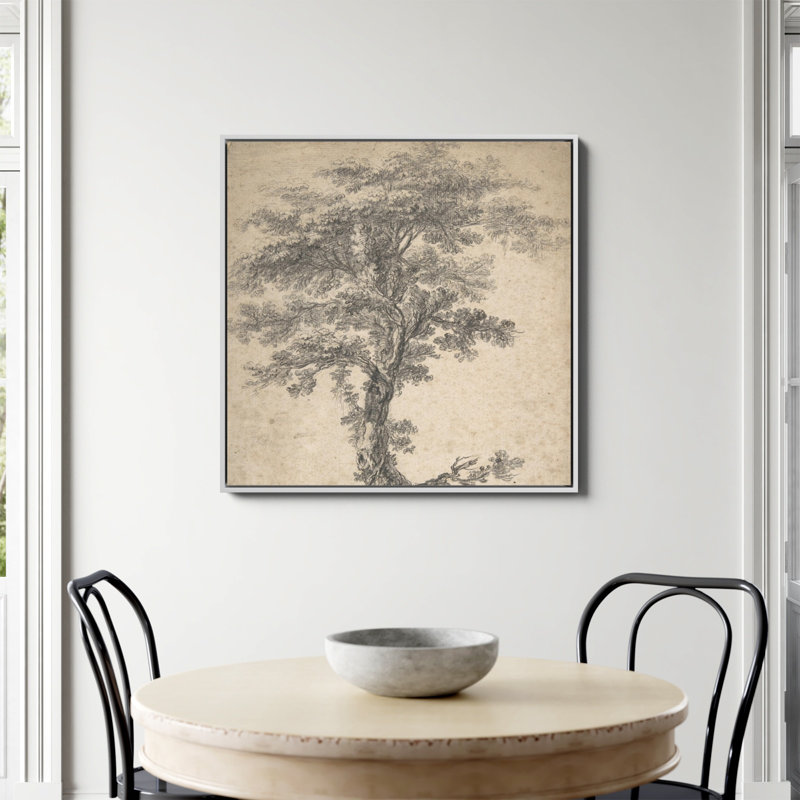 Étude d'un arbre imprimé par Jean Baptiste Pillement, Toile encadrée flottée blanche, Non, H 36 po x l 36 po