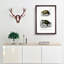 Tortoise & Turtle Illustrations PL. 1 by Charles d' Orbigny - Picture Frame Painting Print on MDF