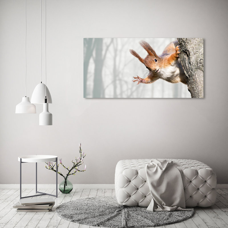 Squirrel - Wrapped Canvas Print