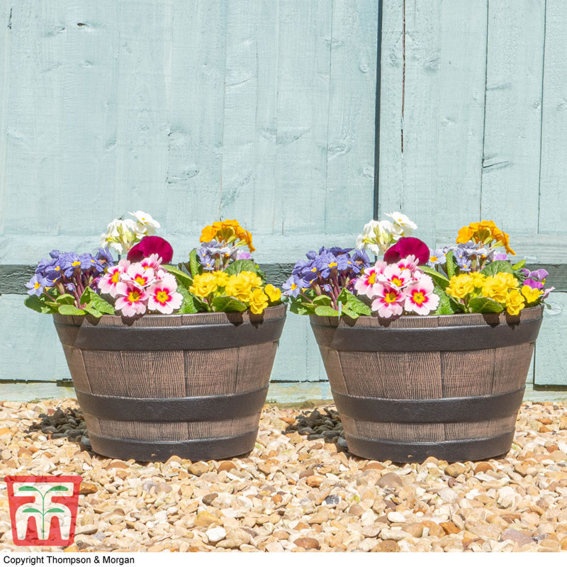 Khaldoun Plant Pot Medium Wooden-effect Barrel (x10), 8, 34Cm H x 34Cm W x 57Cm D
