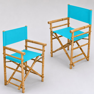 Laseter Folding Director Chair