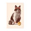 Chat sur tennis, reproduction sur toile