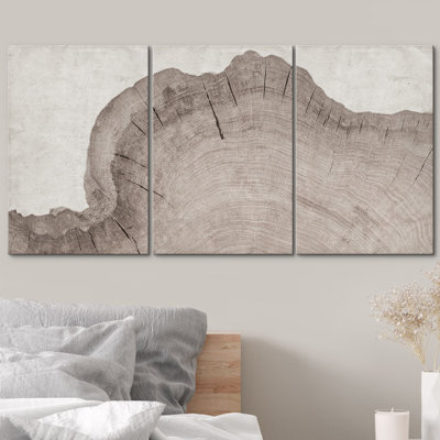 Oak Wood Tree Ring Botanical Illustrations, Minimalist Modern Neutral Boho Pictures, Giclee Canvas Digital Print Framed Wall Art
