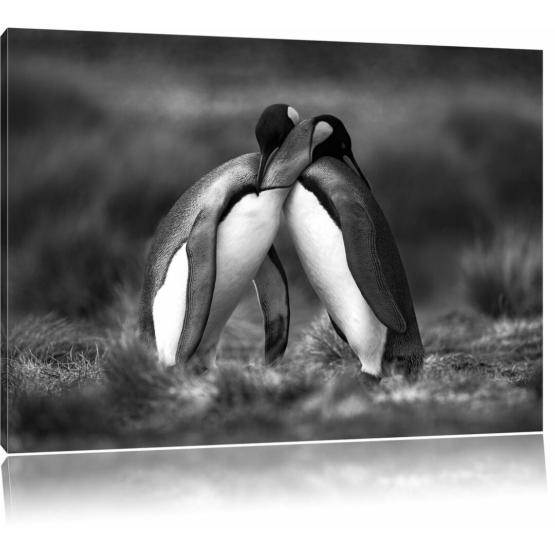 Leinwandbild „Umarmende Pinguine in der Antarktis“, Fotodruck