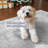 9X12 Machine Washable Area Rug,Soft & Slip-Resistant, Vintage Short-Pile With Reinforced Bound Edges, Large Rug For Living Room, Dining Room, Bedroom-519504698-504211665