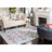 Aguiar Performance Oriental Rug-1525713673