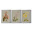 «Botanical Array I», ensemble de 3 impressions sur toile encadrées-1436849551-1436849550