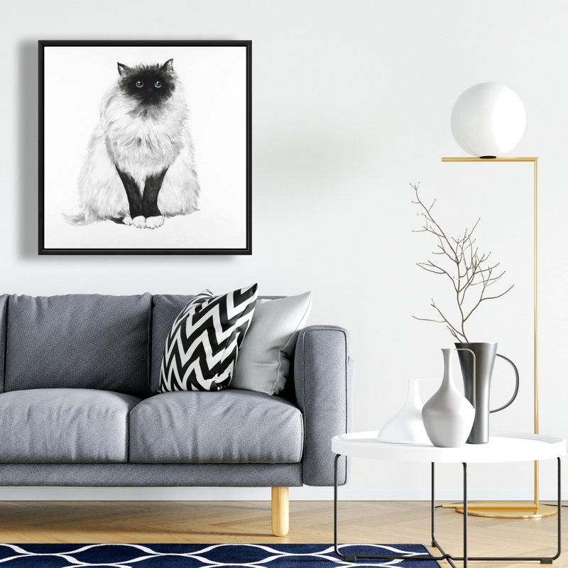 " Blue Eyes Fluffy Siamese Cat "