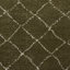 Pechler area rug Machine Woven Green-1366475777