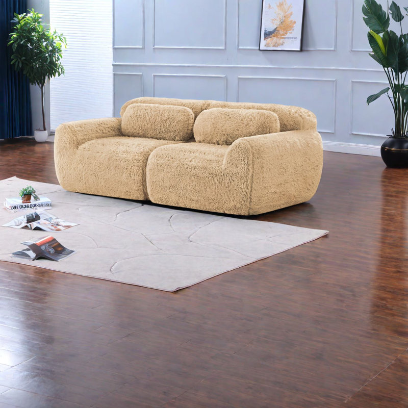 Canapés confortables à 2 places, tissu moelleux doux, design ergonomique moderne, parfait pour la maison
