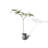 High Imitation Green Plant Jacaranda Tree