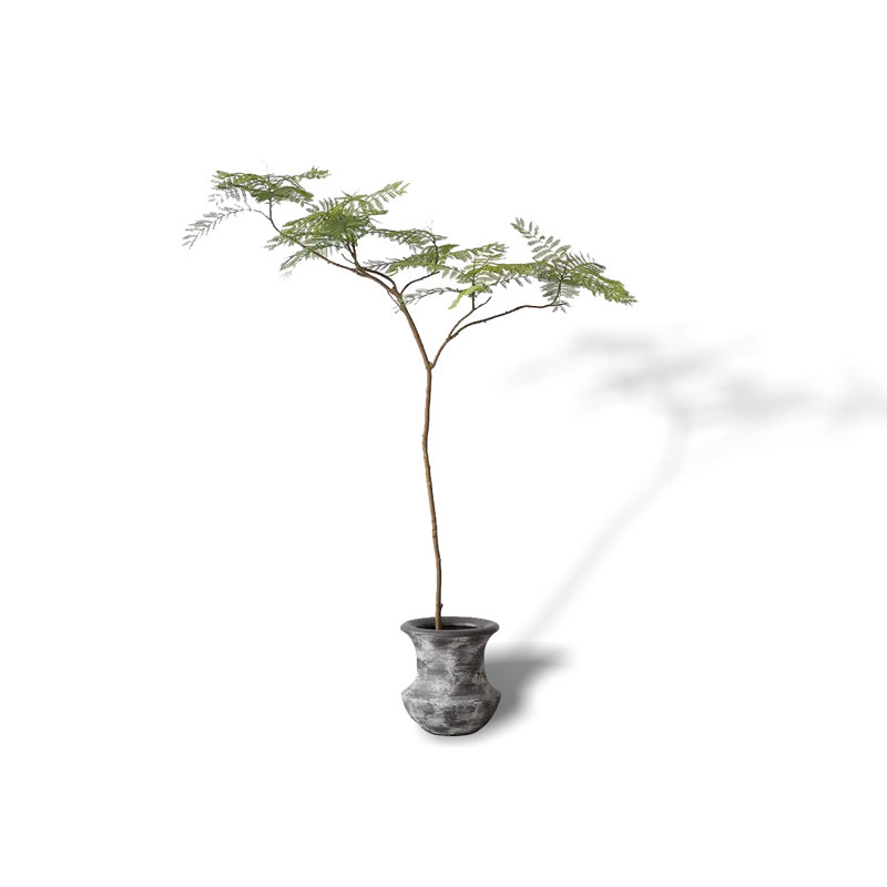 Stella Trek Jacaranda Tree - High Imitation Green Plant
