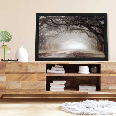 706-6157 " Timeless Plantation Drive " by Danita Delimont Painting Print