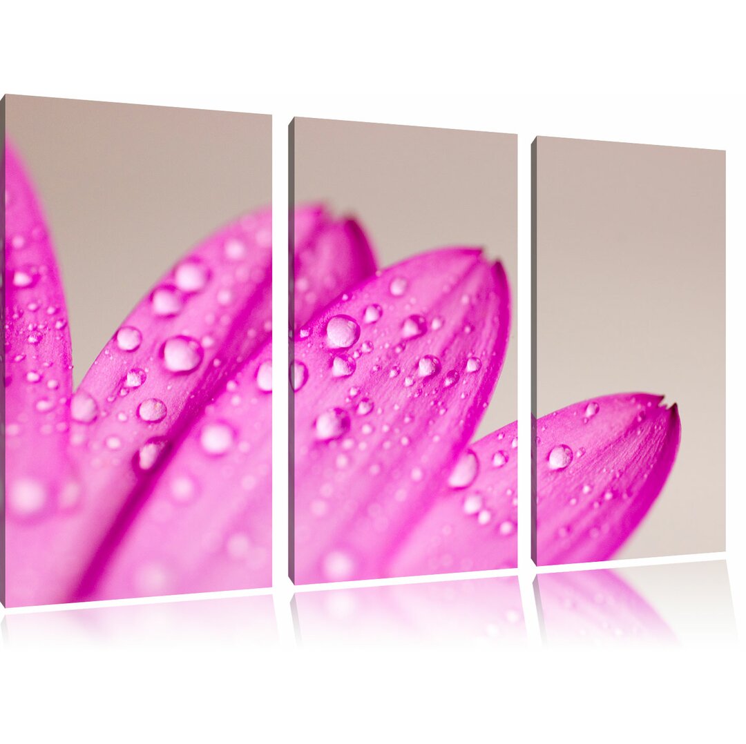 3-tlg. Leinwandbilder-Set „Wassertropfen auf Blüte“, Fotodruck