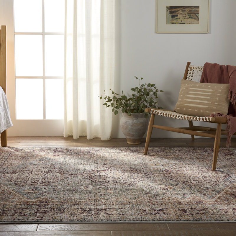 Clemente Oriental Machine Woven Polypropylene Area Rug in Red/Blue/Brown, Rectangle 10' x 14'