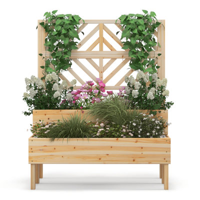 Nolic Wood Planter Box
