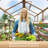 6 ft. W x 8 ft. D Greenhouse for Outdoors, Solid Wood Garden Greenhouse with Quick Assembly-116546259
