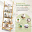 Bibliothèque échelle en bois massif H 72 "x l 26"