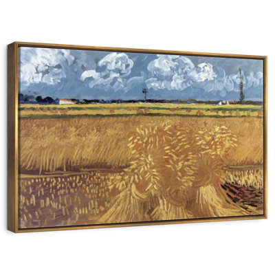 Champ de blé avec réas