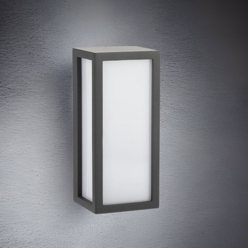 Nataleigh 18cm H Outdoor Wall Lantern