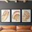 «Vintage Shell Vignette I», impression encadrée sur mesure de qualité supérieure mate - 3 pièces-2126711607-2126711601