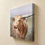 «Big Sky Longhorn» par Danhui Nai, impression sur toile-692382434-692382437