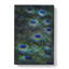 The Feathers Of A Peacock - Wrapped Canvas-56660678