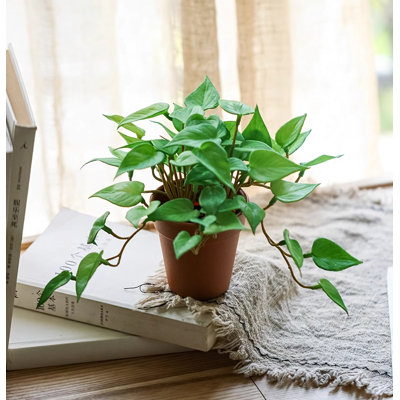 6.3'' Faux Fir Plant