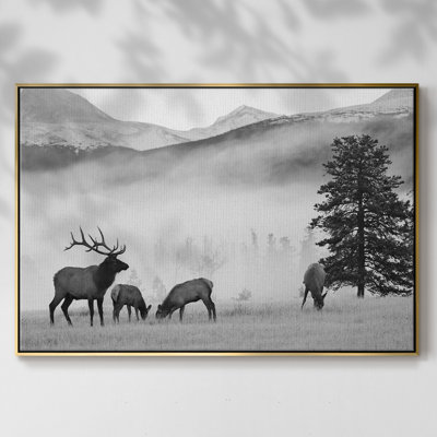 Mountain Elk, reproduction d'art sur toile