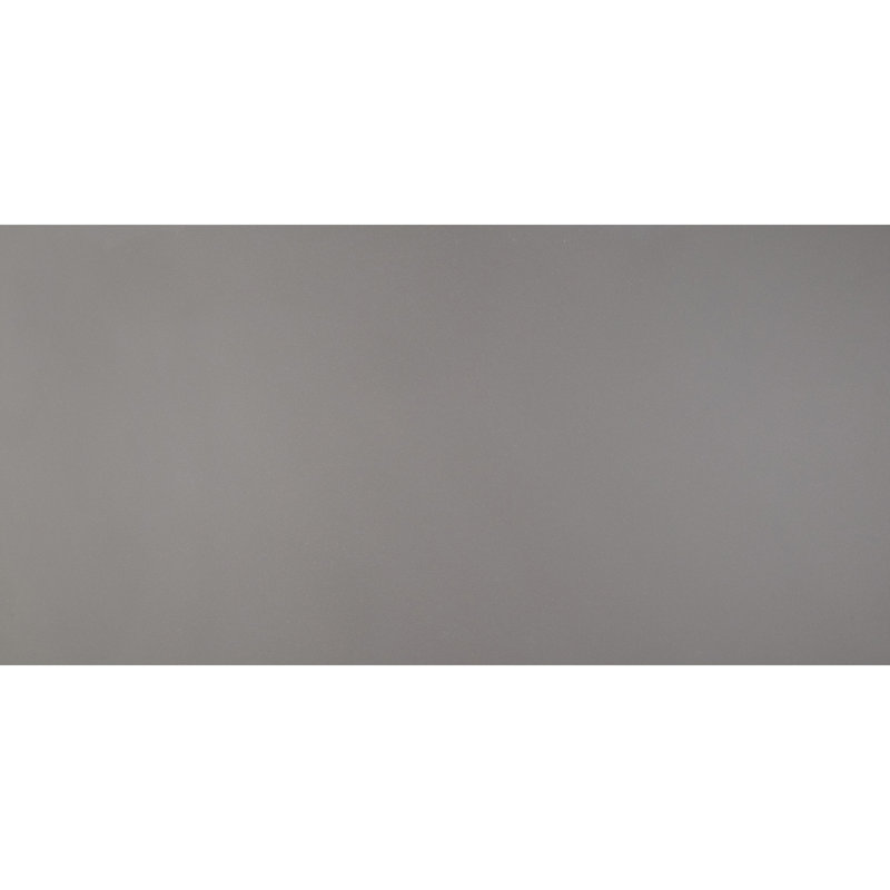 Carreau de porcelaine 24 po x 48 po Aledo, Gris tendance