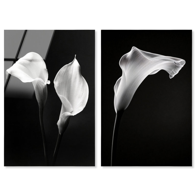Calla Lily Set High-Gloss Frameless Acrylic Glass Wall Art Floral & Botanical Print by Oliver Gal, Ready to Hang, 10 x 15