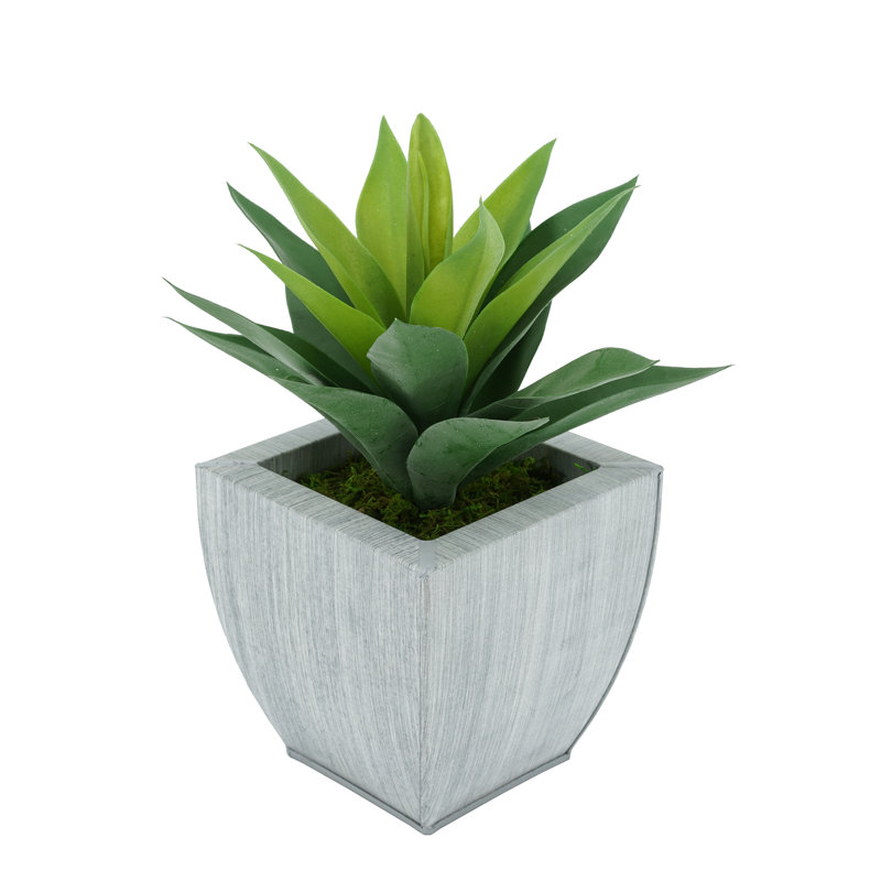 Plante grasse artificielle 7 po en pot, Ferme