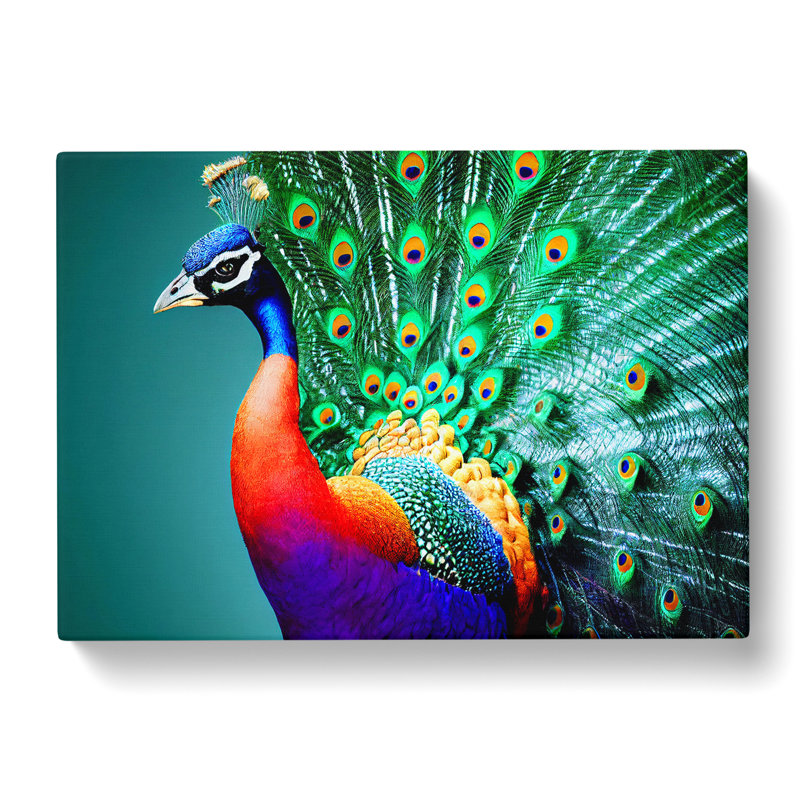 Blossoming Peacock - Wrapped Canvas Painting, 50cm H x 76cm W x 3cm D