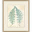 Spring Ferns 4 Painting