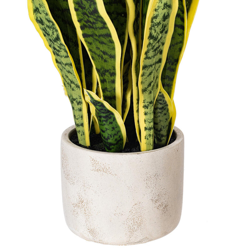 Faux Snake Plant in Cement Pot