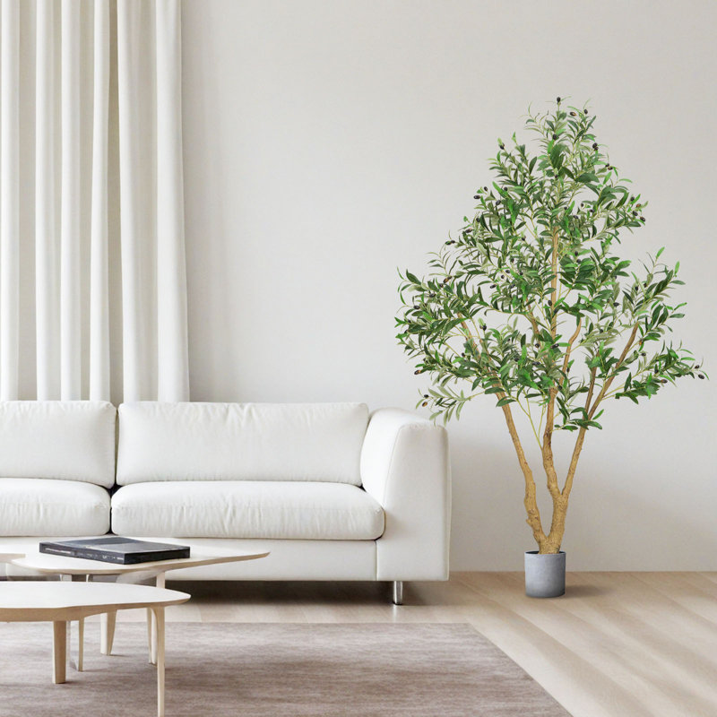Faux Olive Tree Tree in Pot, 182.9cm H x 110cm W x 80cm D